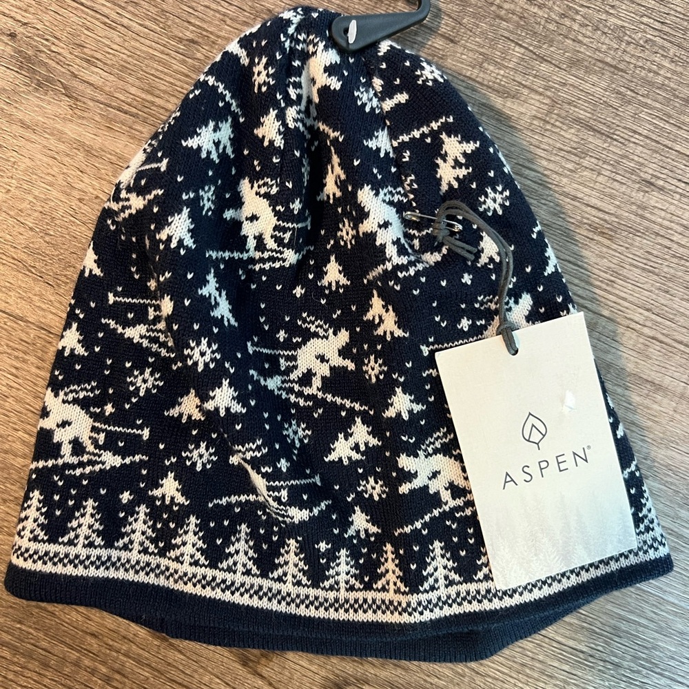 NWT Aspen Navy and White Knit Beanie